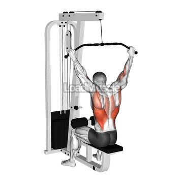 Cable Wide Grip Behind Neck Pulldown