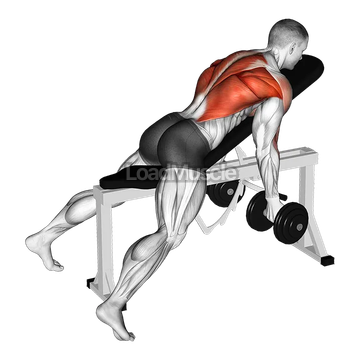 Dumbbell Lying Rear Delt Row