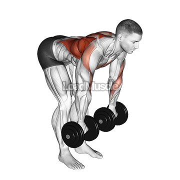 Dumbbell Palm Rotational Bent Over Row