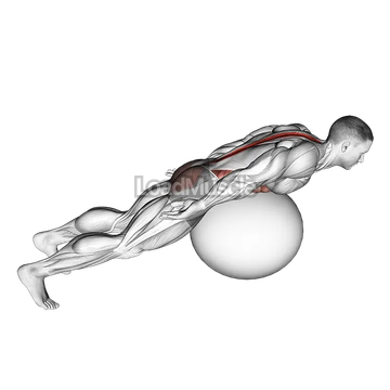 Exercise Ball Back Extension With Rotation