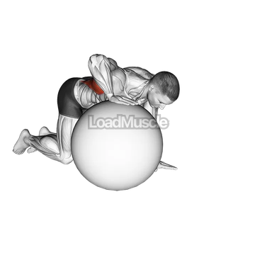 Exercise Ball Lat Stretch