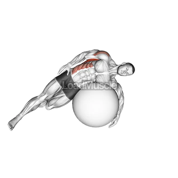 Exercise Ball Lying Side Lat Stretch