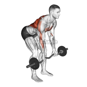 EZ Bar Reverse Grip Bent Over Row