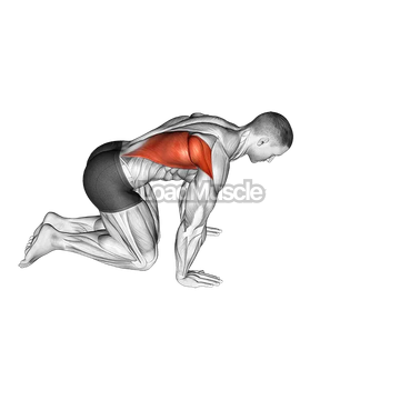 Kneeling Lat Stretch