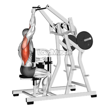 Lever One Arm Lateral Wide Pulldown (plate loaded)