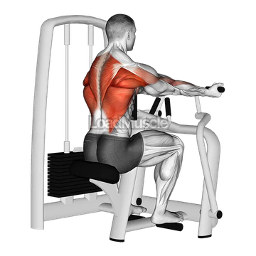 Lever Reverse Grip Vertical Row