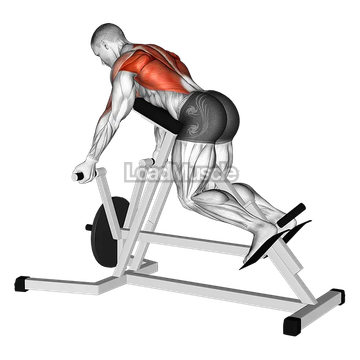 Lever Reverse T Bar Row