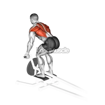 Lever T Bar Reverse Grip Row