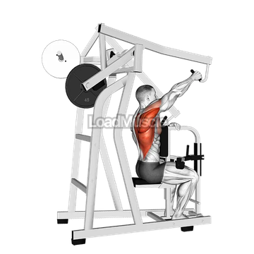 Lever One Arm Lateral High Row