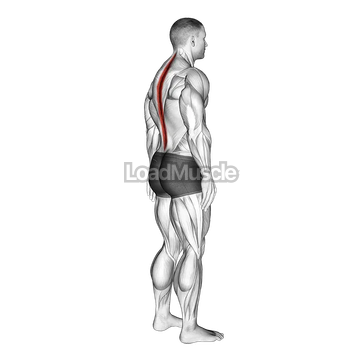 Standing Pelvic Tilt