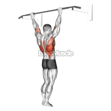 Wide Grip Rear Pull Up