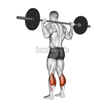 Barbell Floor Calf Raise