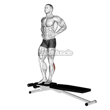 Box Jump Down with 1 Leg Stabilization