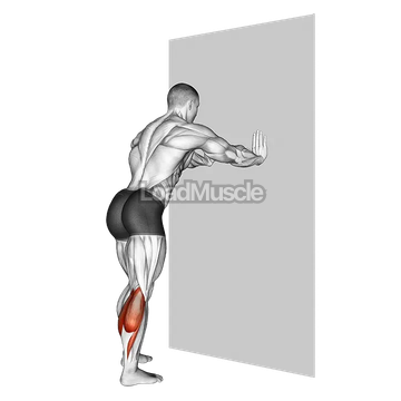 Calf Stretch With Hands Against Wall