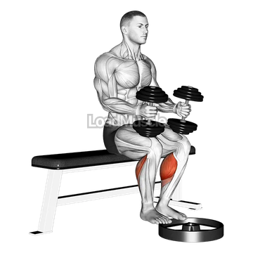 Dumbbell Seated Calf Raise