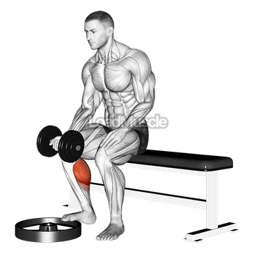 Dumbbell Seated One Leg Calf Raise - Palm up