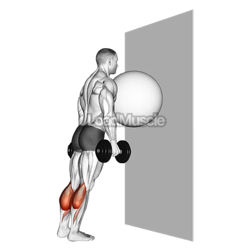 Exercise Ball on the Wall Calf Raise