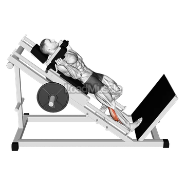 Hack One Leg Calf Raise