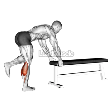 One Leg Donkey Calf Raise