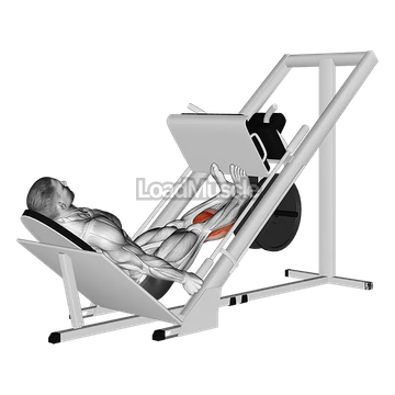 Sled Calf Press On Leg Press