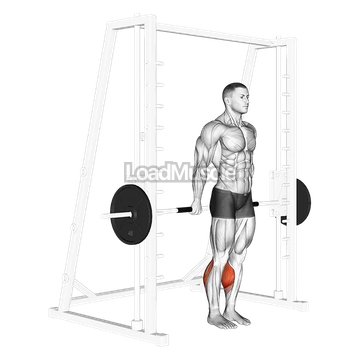 Smith Reverse Calf Raises