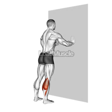 Standing Gastrocnemius