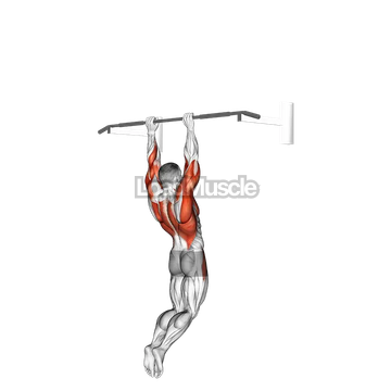 Muscle up (on vertical bar)