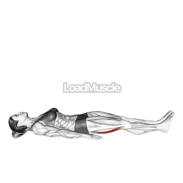 Hamstrings Lying Stretch