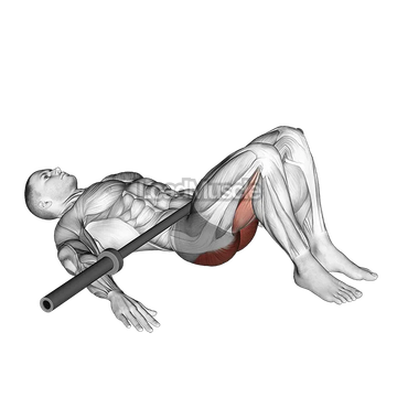 Barbell Glute Bridge