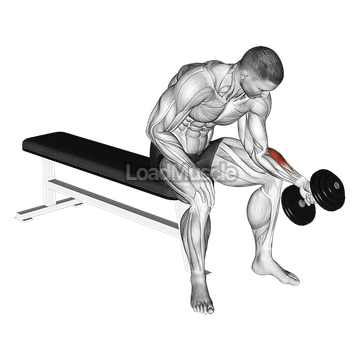 Dumbbell One Arm Seated Neutral Wrist Curl