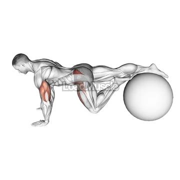 Exercise Ball One Leg Prone Lower Body Rotation