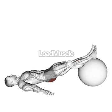 Exercise Ball One Legged Diagonal Kick Hamstring Curl