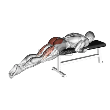 Reverse Hyper on Flat Bench