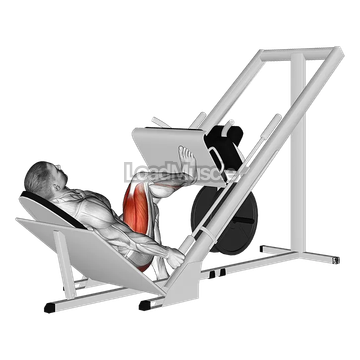 Sled 45 degrees One Leg Press