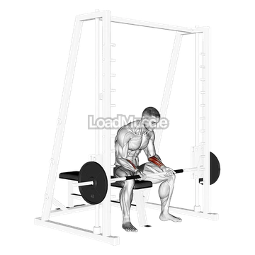 Smith Seated Wrist Curl