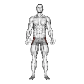 Straight Leg Outer Hip Abductor