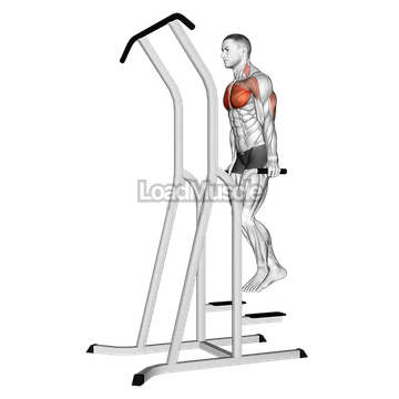 Chest Dip (on dip-pull-up cage)