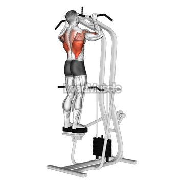 Assisted Standing Pull-up