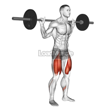 Barbell Low Bar Squat