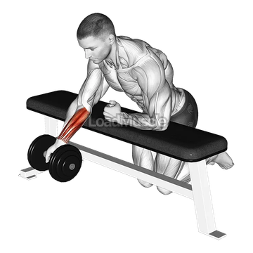 Dumbbell Over Bench One Arm Reverse Wrist Curl