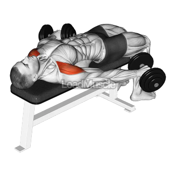 Dumbbell Lying Pronated Grip Maltese Hold