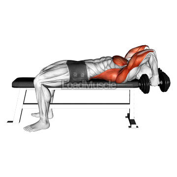 Dumbbell Bent Arm Pullover Hold