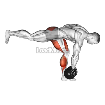 Dumbbell RDL Stretch
