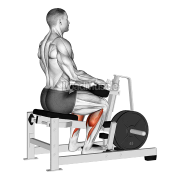Lever Calf Stretch (plate loaded)
