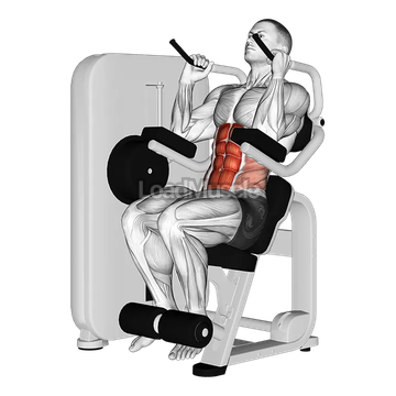 Lever Seated Crunch