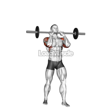 Barbell Standing Close Grip Military Press