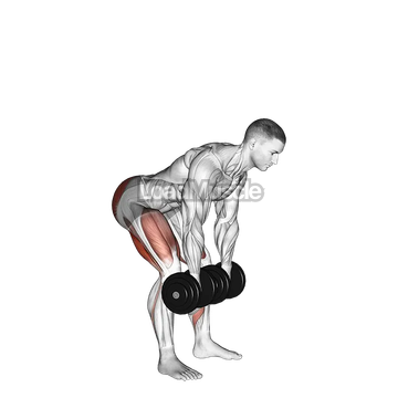 Dumbbell Romanian Deadlift