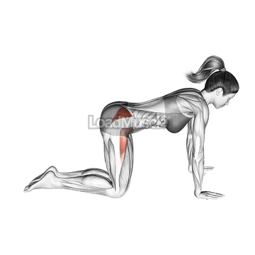 Bent Leg Side Kick (kneeling)