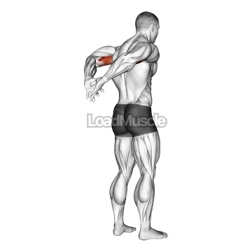 Biceps Stretch Behind The Back