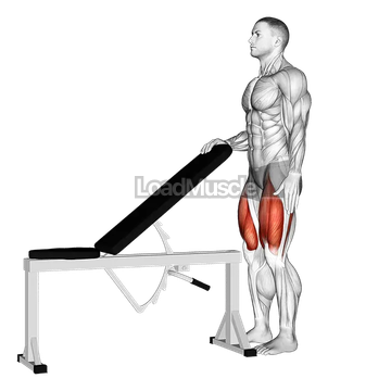 Sissy Squat Bodyweight